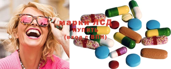 spice Богданович