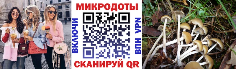 Галлюциногенные грибы ЛСД  Купить  Кремёнки 